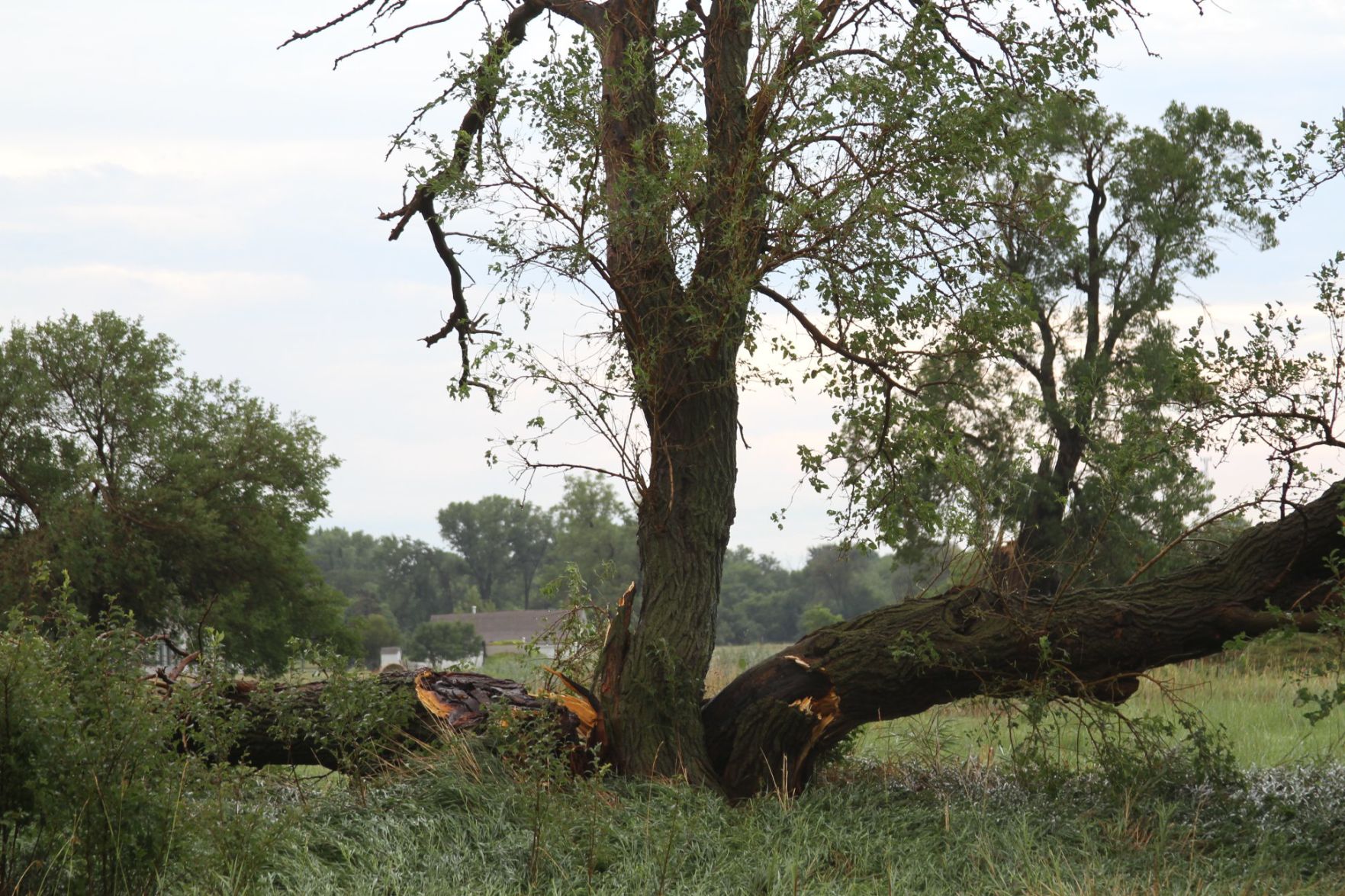 Sthur Museum Damage